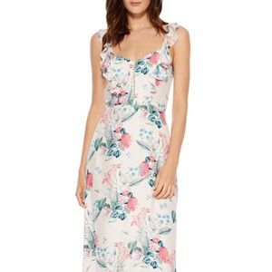 Parker Women's Mimi Floral Dress 2